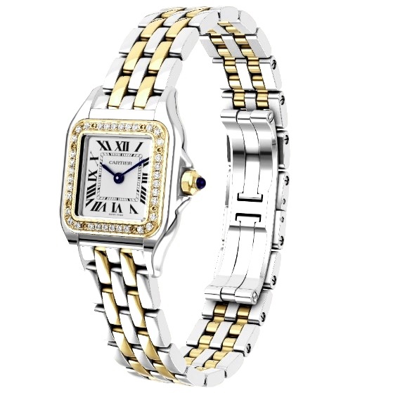 PANTHÈRE DE CARTIER W2PN0006_1