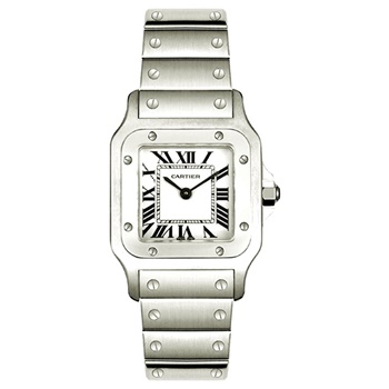 SANTOS DE CARTIER WATCH 29mm SMALL MODEL WSSA0023