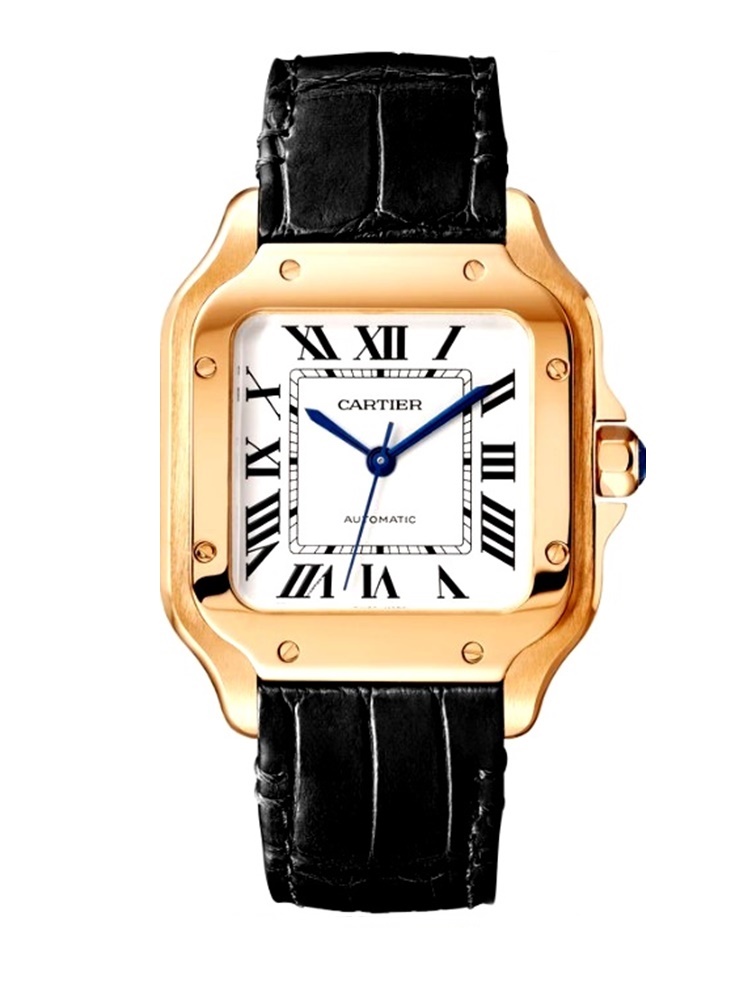 SANTOS DE CARTIER WATCH 34mm MEDIUM MODEL WGSA0028