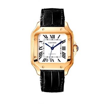 SANTOS DE CARTIER WATCH 34mm MEDIUM MODEL WGSA0028x35