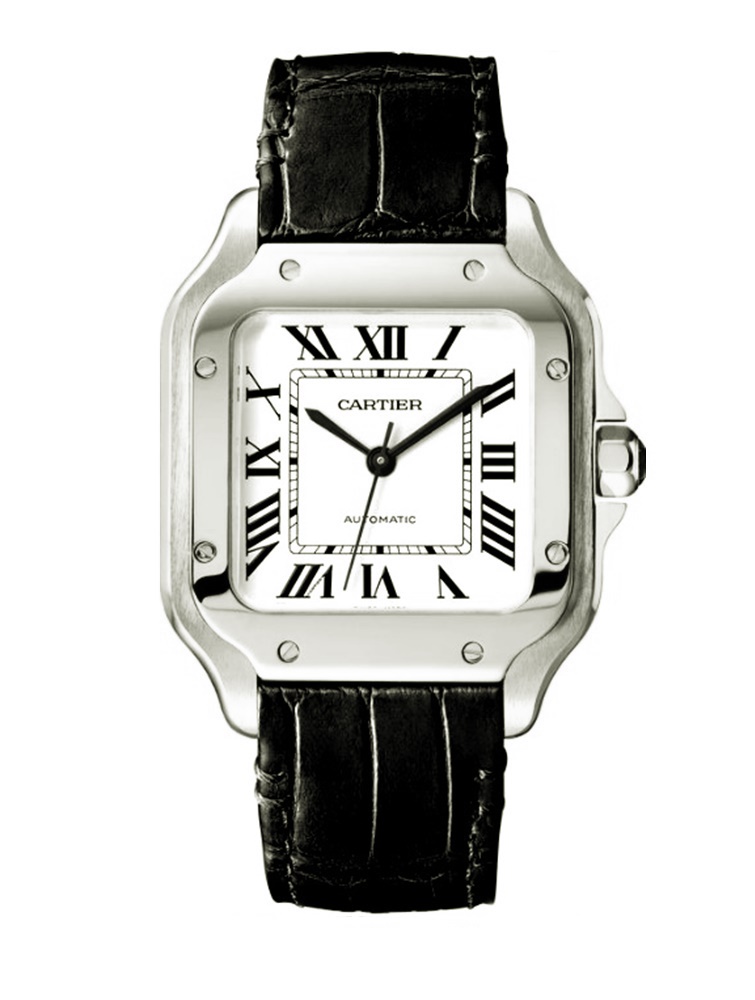 SANTOS DE CARTIER WATCH 34mm MEDIUM MODEL WSSA0029