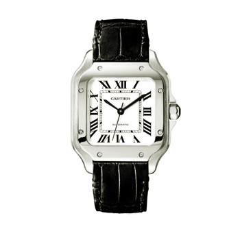 SANTOS DE CARTIER WATCH 34mm MEDIUM MODEL WSSA0029x35