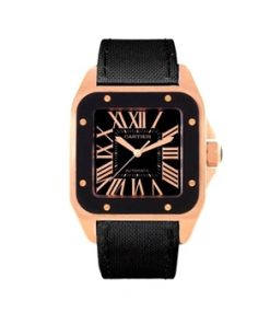 SANTOS DE CARTIER WATCH 38mm LARGE MODEL W20124u2